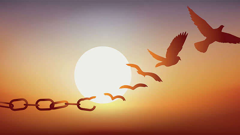 https://staging-luminafoundation-staging.kinsta.cloud/wp-content/uploads/2019/08/800-5.jpg